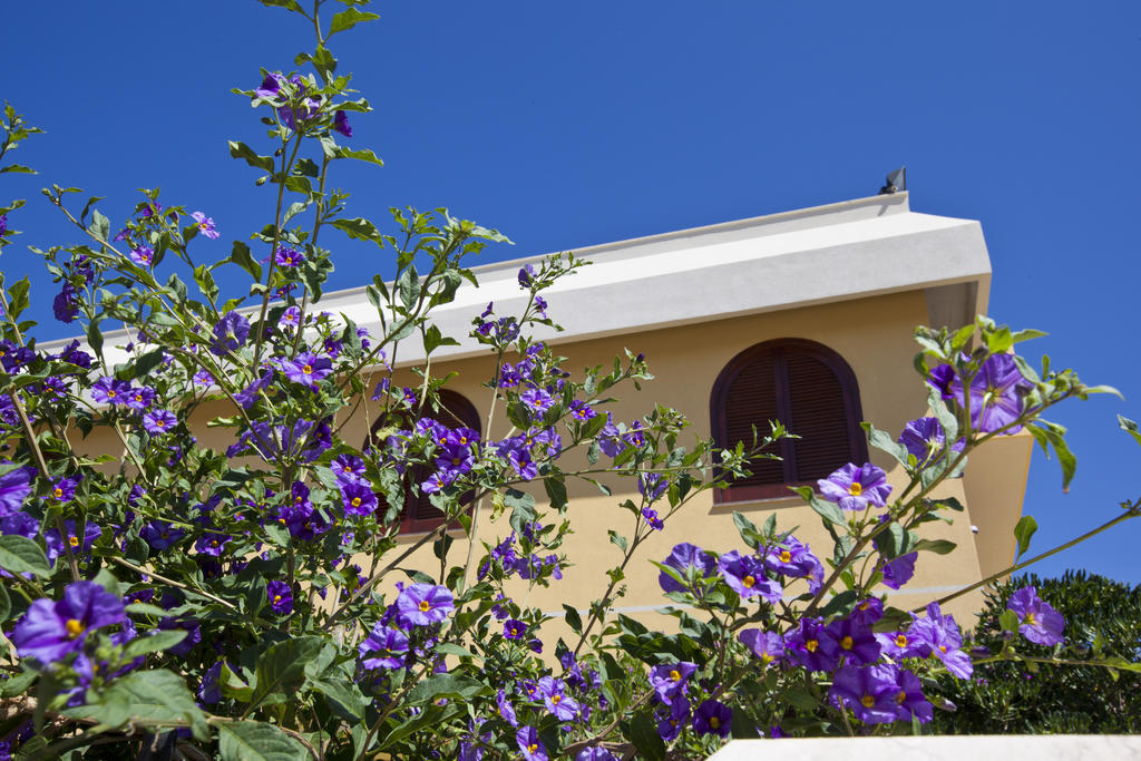 Orlando Vacanze Camere Erice Exterior foto